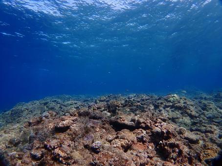 沖縄の海の写真