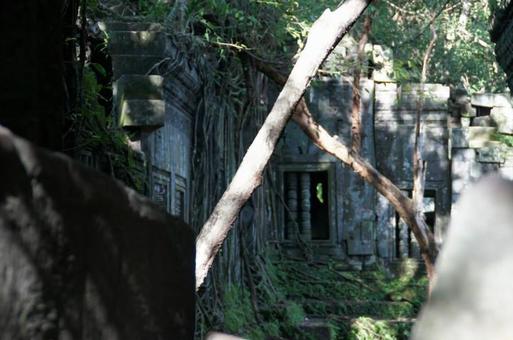 アンコール遺跡群 アンコール遺跡群の写真