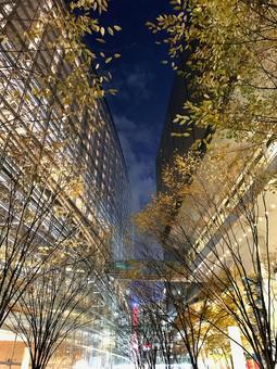 秋の夜 秋の夜の写真