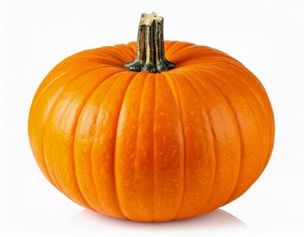 オレンジ色のかぼちゃの写真