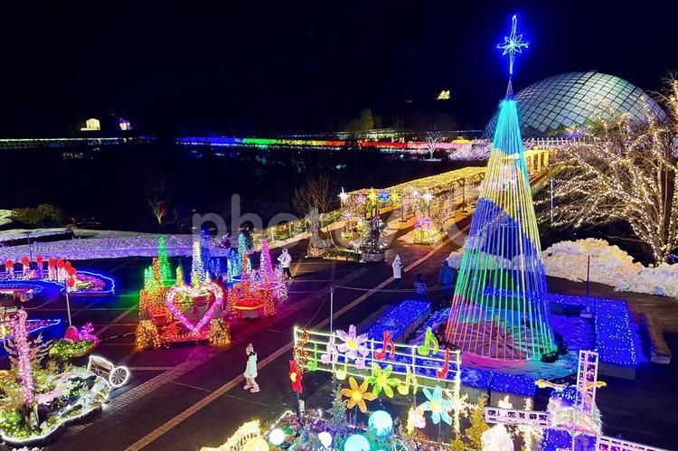 とっとり花回廊　冬のイルミネーション 鳥取,電飾,雪の写真素材
