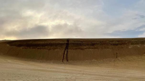 砂の壁 砂の壁 鳥取砂丘,砂浜,砂漠の写真素材