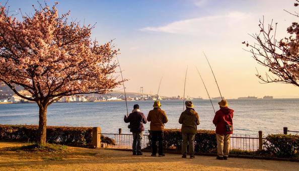 釣り公園で釣りを楽しむ 釣り公園で釣りを楽しむの写真