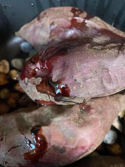 石焼き芋 石焼き芋の写真