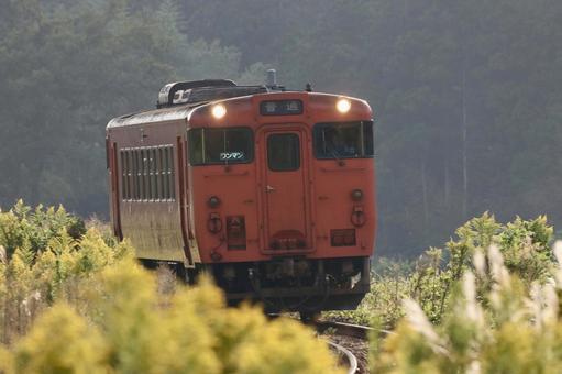 夕方に走る単線列車 夕方に走る単線列車 電車,鉄道,乗り物の写真素材