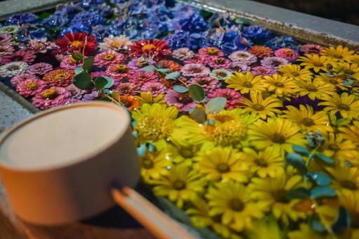 鹿追神社の花手水 鹿追神社の花手水の写真
