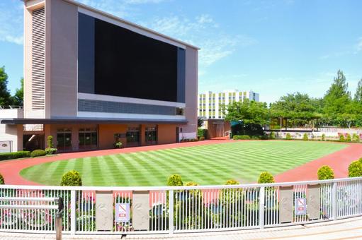 晴れの日の新潟競馬場のパドック（人物なし 競馬場,パドック,新潟競馬場の写真素材
