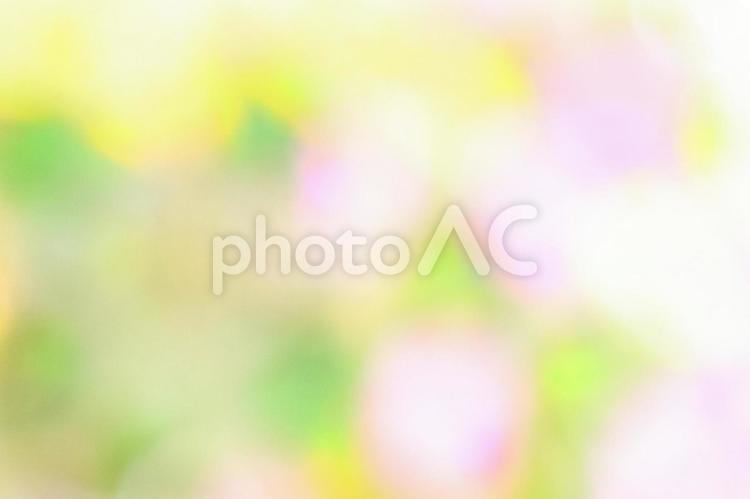 初夏の花と緑と光をイメージした水彩画風の背景テクスチャ 背景,テクスチャ,花の写真素材