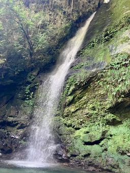 徳島県の祖谷にある自然の滝 徳島県の祖谷にある自然の滝 滝,自然,日本の写真素材