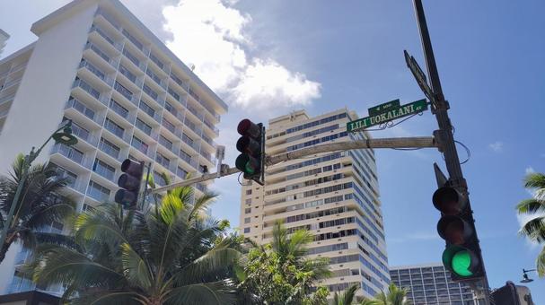 ワイキキの街角とヤシの木 ワイキキの街角とヤシの木 waikiki,honolulu,ハワイの写真素材