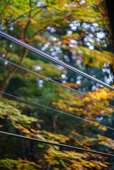 秋色ボケ背景と並ぶケーブル 自然,風景,秋の写真素材