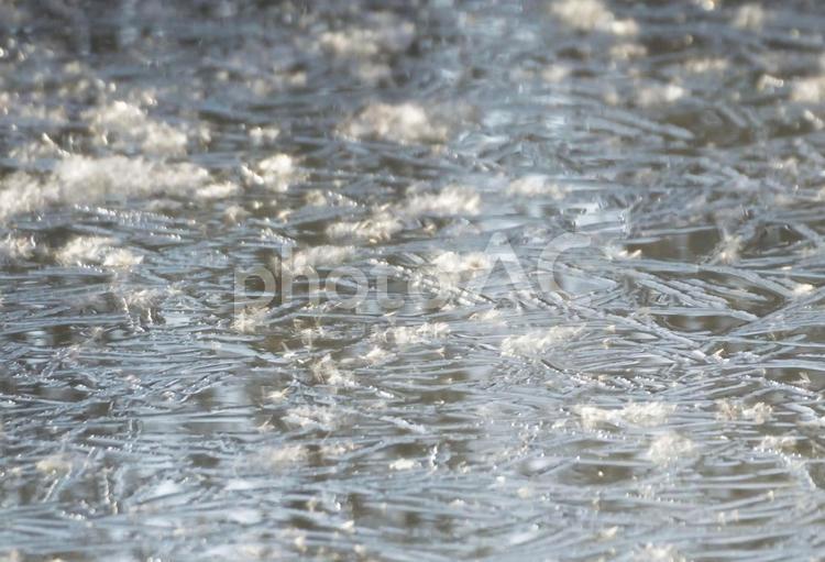水面に氷が張る瞬間 水面,氷,凍るの写真素材