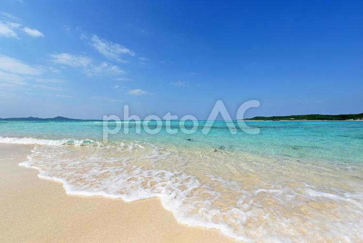 南国沖縄の美しいビーチ 沖縄,海,ビーチの写真素材
