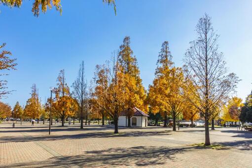大師公園 大師公園,川崎市,川崎区の写真素材