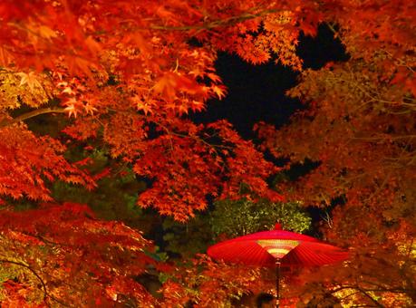 Eikan-do, Autumn leaves light up, red Japanese umbrella Eikan-do, Autumn leaves light up, red Japanese umbrella