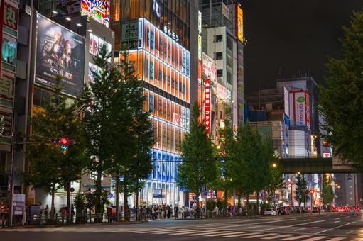 雨上がりの秋葉原の夜景 中央通り 雨上がりの秋葉原の夜景 中央通り 秋葉原,ネオン,夜景の写真素材