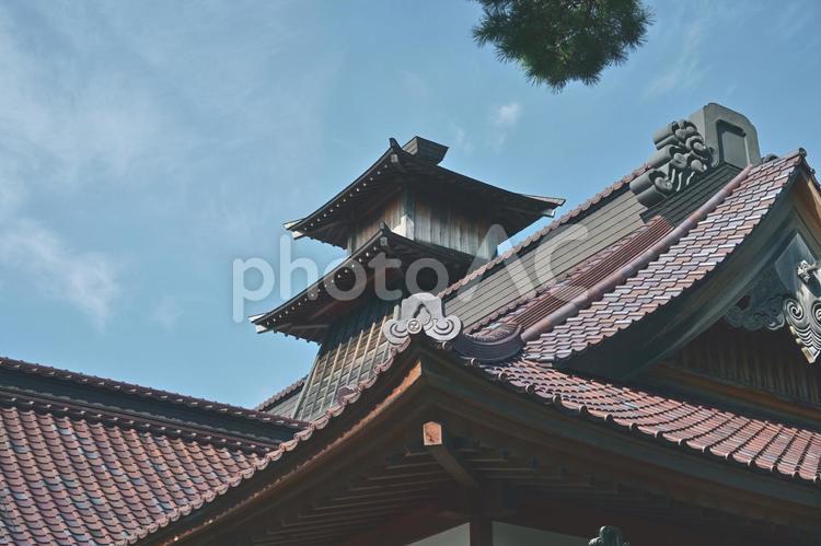 夏の日の箱館奉行所 箱館奉行所,五稜郭,函館の写真素材