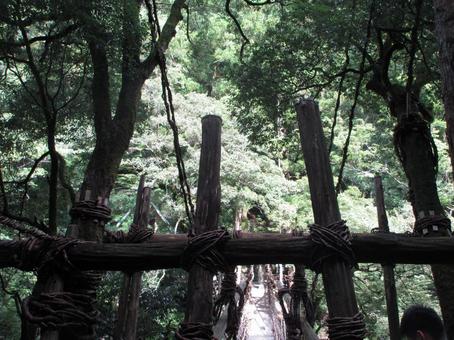 徳島県-祖谷のかずら橋 徳島県-祖谷のかずら橋の写真