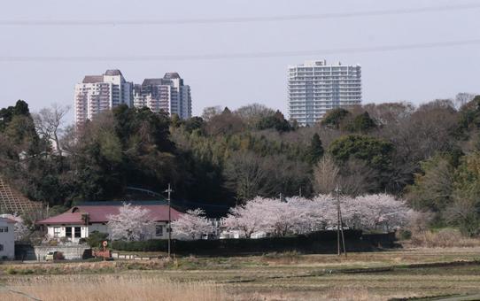都会と田園 都会と田園の写真