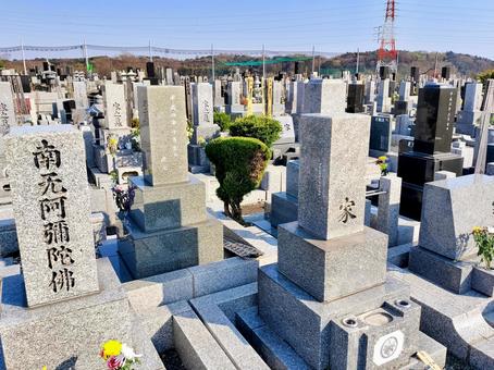 墓地 墓地の写真