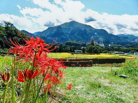 彼岸花と武甲山 彼岸花と武甲山 彼岸花,武甲山,寺坂棚田の写真素材