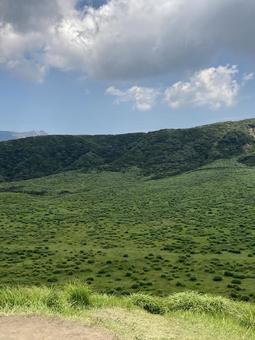 牧草地 牧草地 牧草地,草地,自然の写真素材