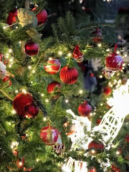 はままつフラワーパーク　イルミネーション イルミネーション,クリスマス,夜景の写真素材