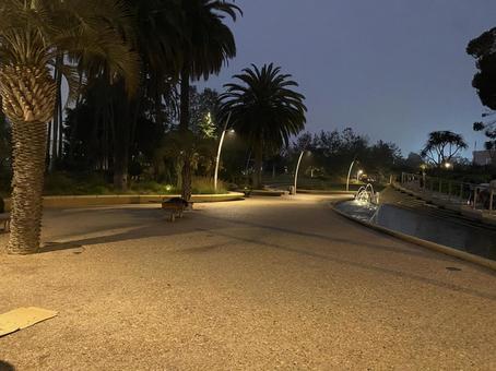 アメリカ夜の公園  アメリカ夜の公園  アメリカ,風景,自然の写真素材