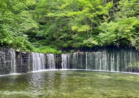軽井沢の白糸の滝から涼やか水音が聞こえる 軽井沢の白糸の滝から涼やか水音が聞こえるの写真