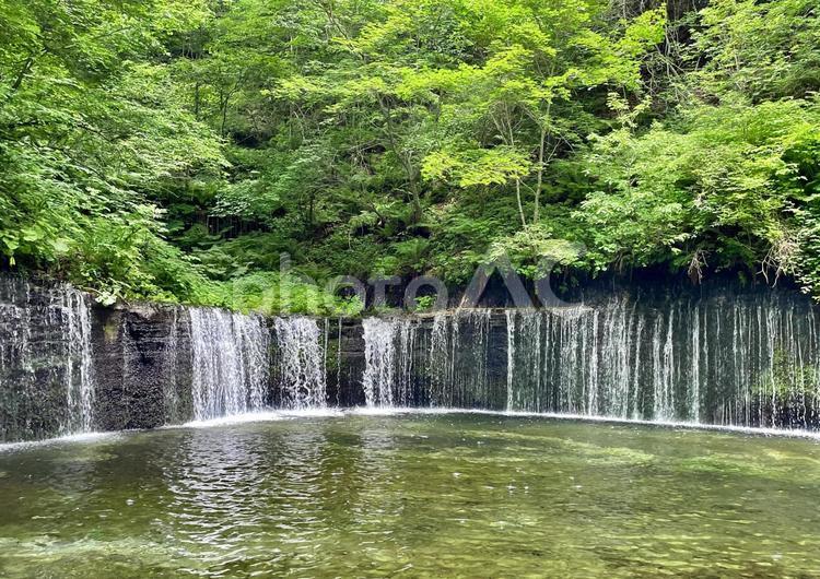 軽井沢の白糸の滝から涼やか水音が聞こえる 軽井沢,白糸の滝,長野の写真素材