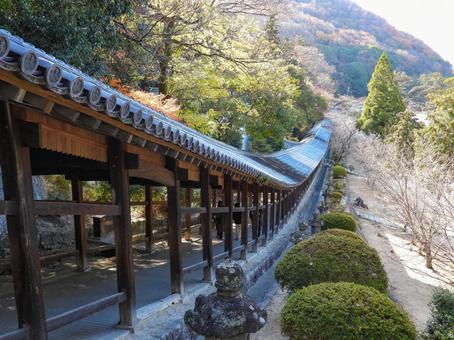 岡山県 吉備津神社の廻廊 岡山県 吉備津神社の廻廊 吉備津神社,廻廊,神社の写真素材