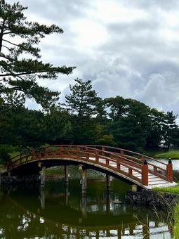 大乗院庭園 奈良,大乗院,庭園の写真素材