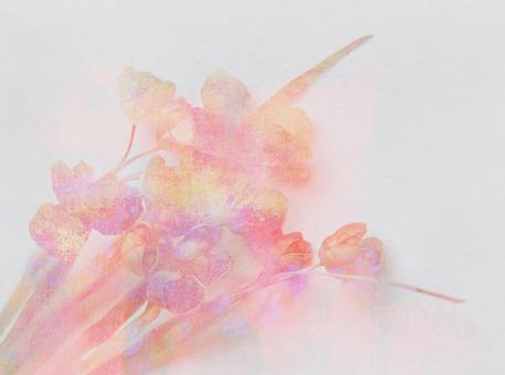 メルヘンチックな背景素材の写真