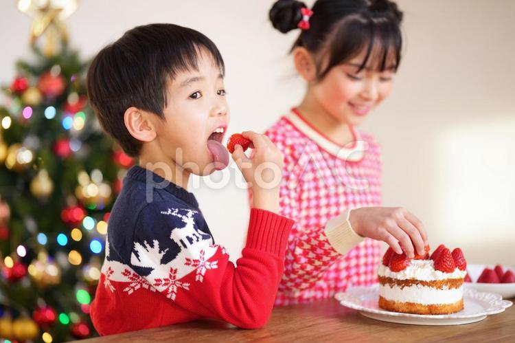 イチゴをつまみ食いする男の子 男女,クリスマス,ケーキの写真素材