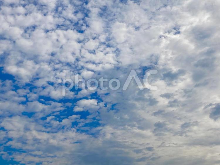 雲　空　青空　白雲　もくもく　ふわふわ 雲,空,青空の写真素材