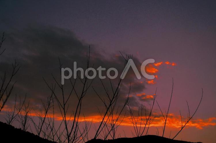 夕暮れ時2 トワイライト,夕焼け,夕空の写真素材
