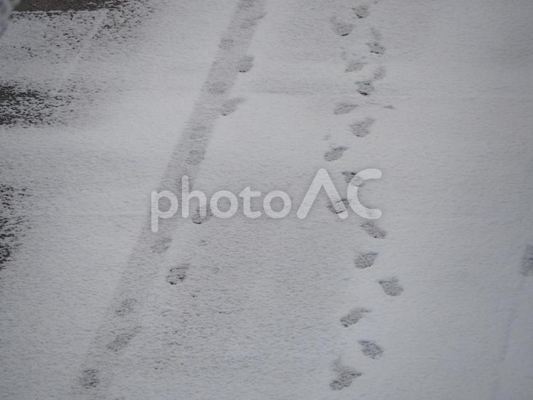 雪の日、積雪の路面に刻まれた足あと 雪,足跡,スリップの写真素材