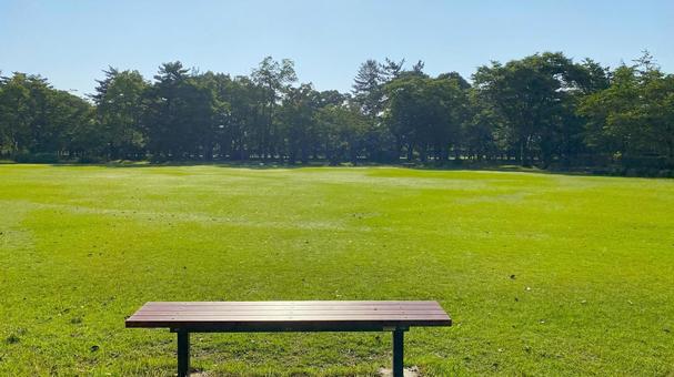 朝の北部公園(金沢市):26 朝の北部公園(金沢市):26 公園,春,夏の写真素材