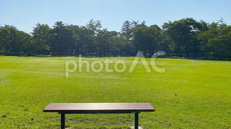 朝の北部公園（金沢市）：26 公園,春,夏の写真素材