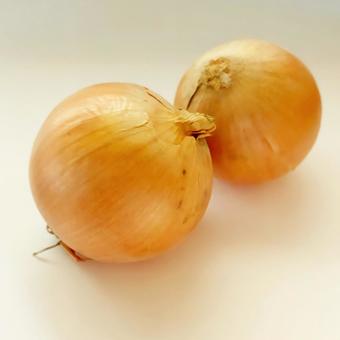玉ねぎ2個 玉ねぎ2個の写真