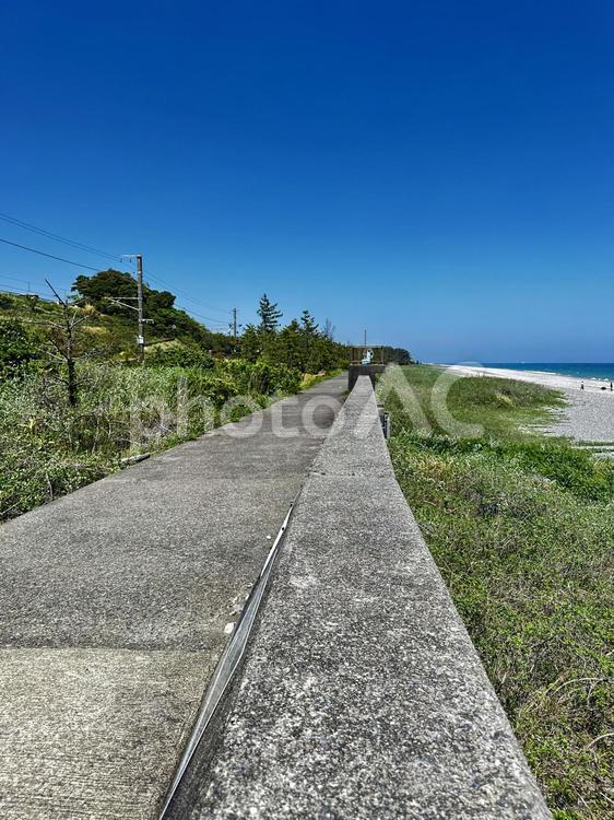 新宮市　王子ヶ浜　大浜海岸　堤防 新宮市,王子ヶ浜,大浜の海岸の写真素材