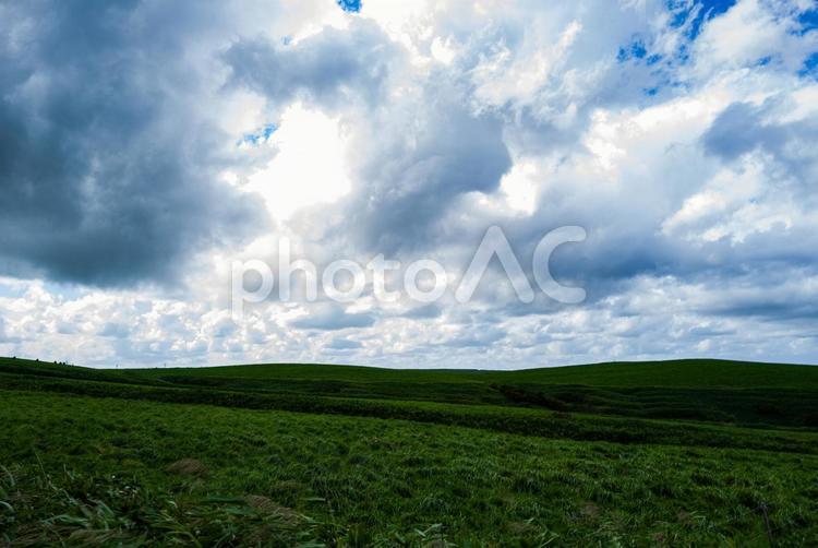北海道の風景 北海道,地平線,青空の写真素材