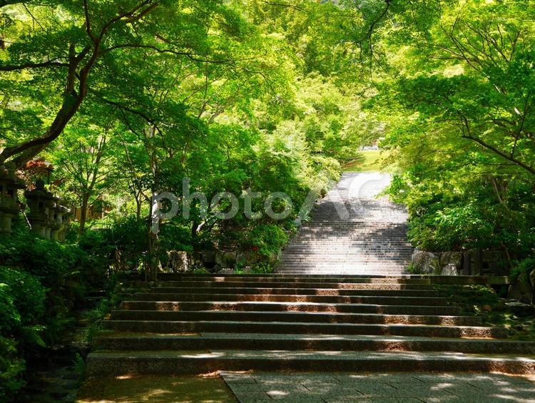 勝尾寺の石段 大阪府,大阪,箕面市の写真素材