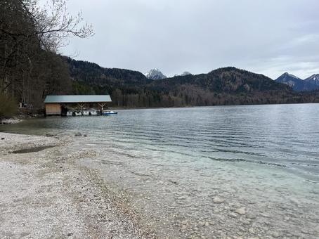 アルプ湖 アルプ湖 ホーエンシュヴァンガウ,湖,山の写真素材