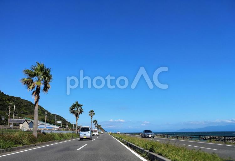 シーサイド道路と美しい青い空 街路樹,水平線,海の写真素材