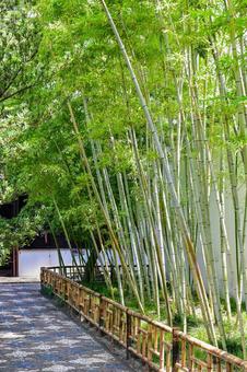 Photo, suzhou, lingering garden, world heritage, 
