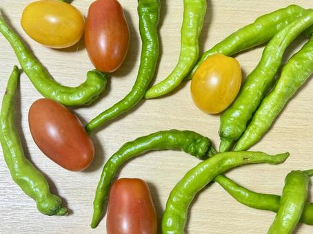Photo, vegetables, summer vegetables, petit tomatoes, 