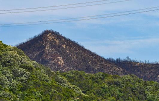 山火事のあと〜岡山市南区 山林火災,林野火災,自然災害の写真素材