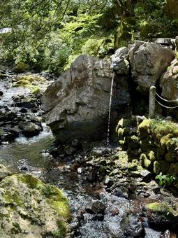 永平寺 夏の境内 永平寺 夏の境内 永平寺,福井,河原の写真素材