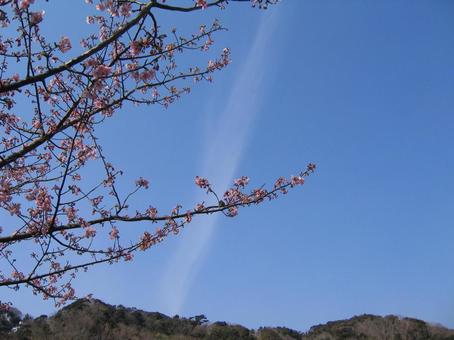 空・雲・山・自然の写真